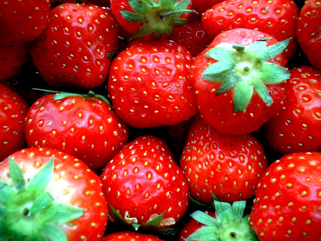 Strawberries, organic