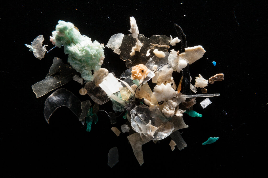 microplastics Microplastics from the Corsica River are pictured at the laboratory of Dr. Lance Yonkos in the Department of Environmental Science & Technology at the University of Maryland in College Park, Md., on Feb. 6, 2015. Microplastics were collected by the National Oceanic and Atmospheric Association Marine Debris Program in 2011 via a manta trawl in four tributaries feeding into the Chesapeake Bay. A study led by Yonkos reports that the prevalence of microplastics in the watershed is positively correlated with population density and proportion of development. Photo by Will Parson/Chesapeake Bay Program (CC BY-NC 2.0)