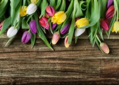 Springtime Plants and Sheltering in Place