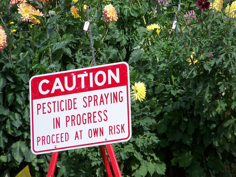 A sign warns visitors of pesticide spraying at Manito Park in Spokane, WA. (Photo by jetsandzeplins)