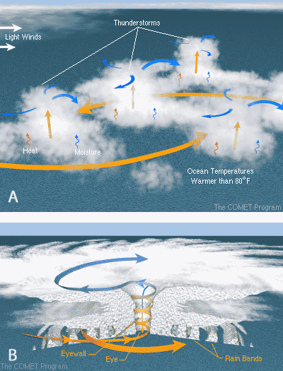 Thunderstorms, warm ocean water and light wind are needed for a hurricane to form (A). Once formed, a hurricane consists of huge rotating rain bands with a center of clear skies called the eye which is surrounded by the fast winds of the eyewall (B).Source: COMET/UCAR