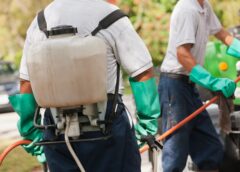 Safety Concerns Surrounding Pesticide Use