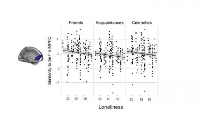 Loneliness was associated with lower self-other similarity in the medial prefrontal cortex (MPFC). Less self-other similarity in MPFC with greater loneliness was observed when participants thought about either their friends, acquaintances, or celebrities.