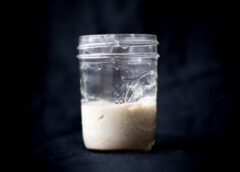 The Science of Making a Wild Sourdough Starter