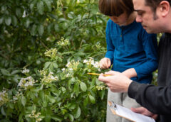 science experiments to conduct at home