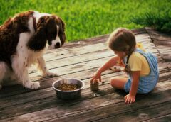 The Surprising Environmental Impact of Pet Food