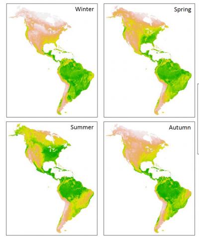 migratory birds and climate change