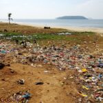 ocean garbage patch
