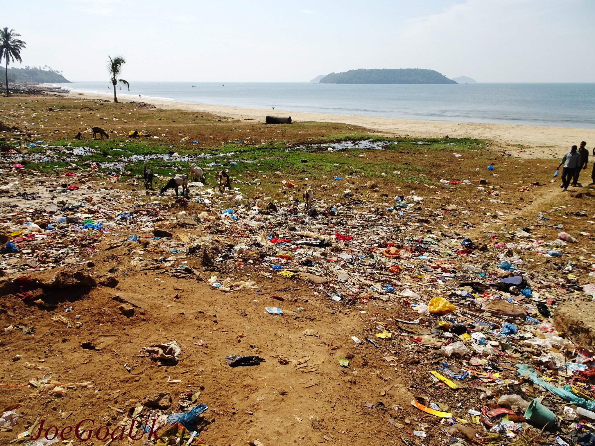 ocean garbage patch
