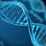 Epigenetics of offspring influenced by parents’ diets