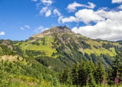 A Canadian Citizen Science Summer