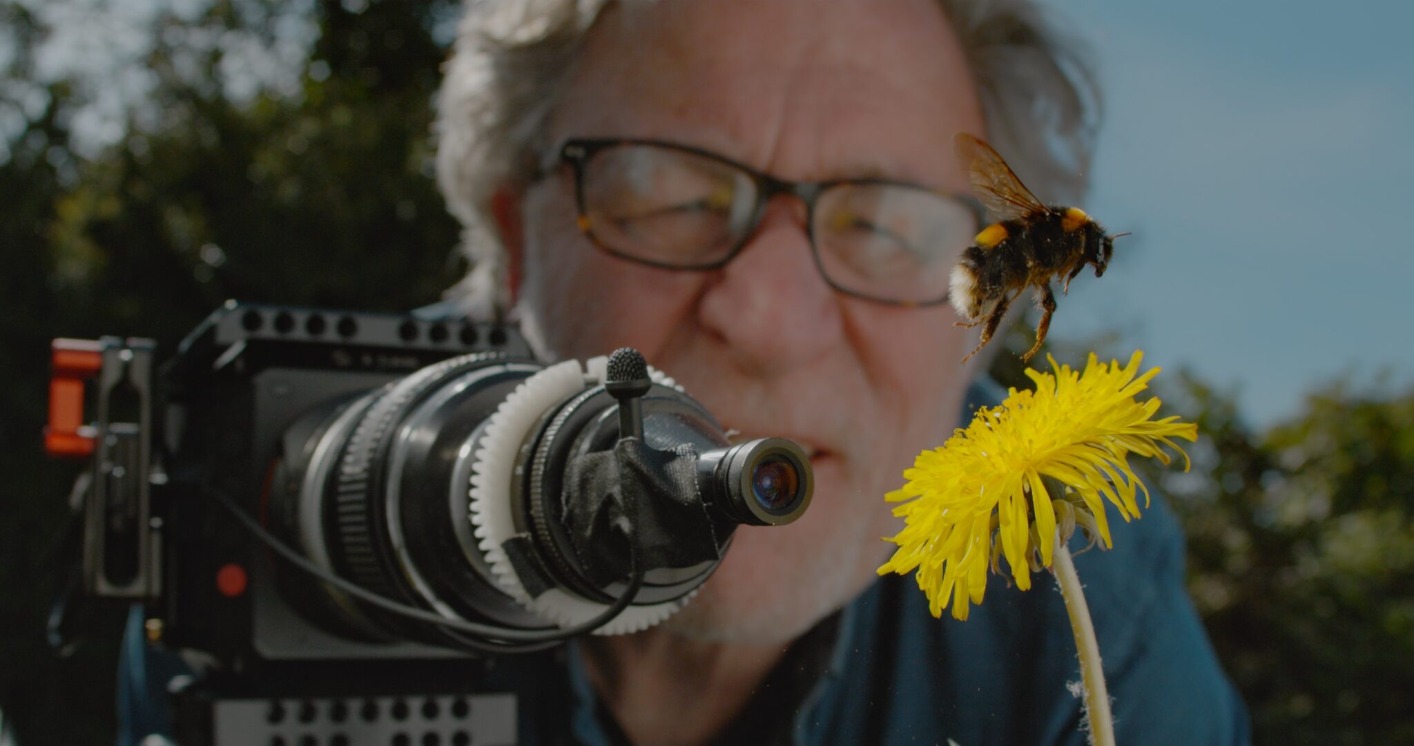 Martin Dohrn filming a bumble bee hovering over a dandelion. (Image credit: Martin Dohrn/Passion Planet)