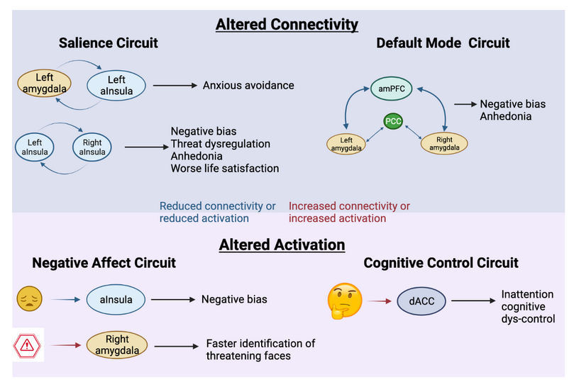 Brain Circuits Map out Depression and Anxiety