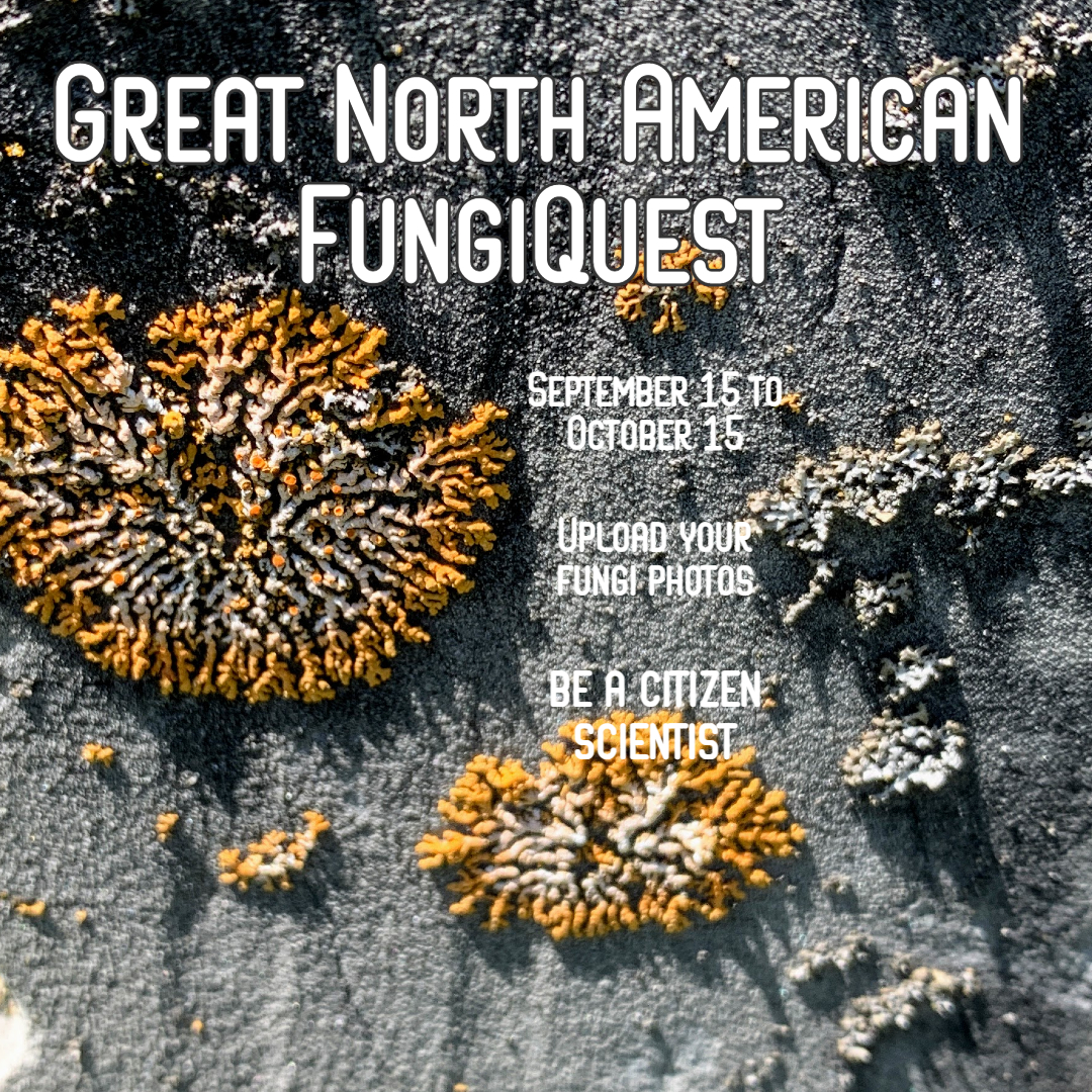 North American FungiQuest. Image credit: thinkfungi.org/(C BY-NC-ND 2.0