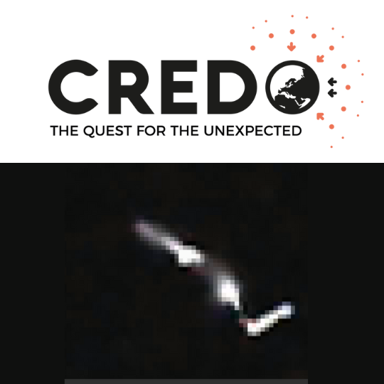 CREDO logo