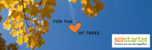 SciStarter graphic with a yellow tree and blue sky in the background. For the love of trees.