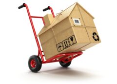 A single family home made of cardboard sits on a red furniture dolly. Human migration trends toward areas affected by wildfires.