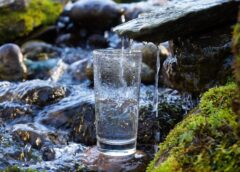 A stream filling a glass of water. Water quality may be headed for a rise as scientists work to develop new technology that uses bacteria to detect harmful heavy metals in water.