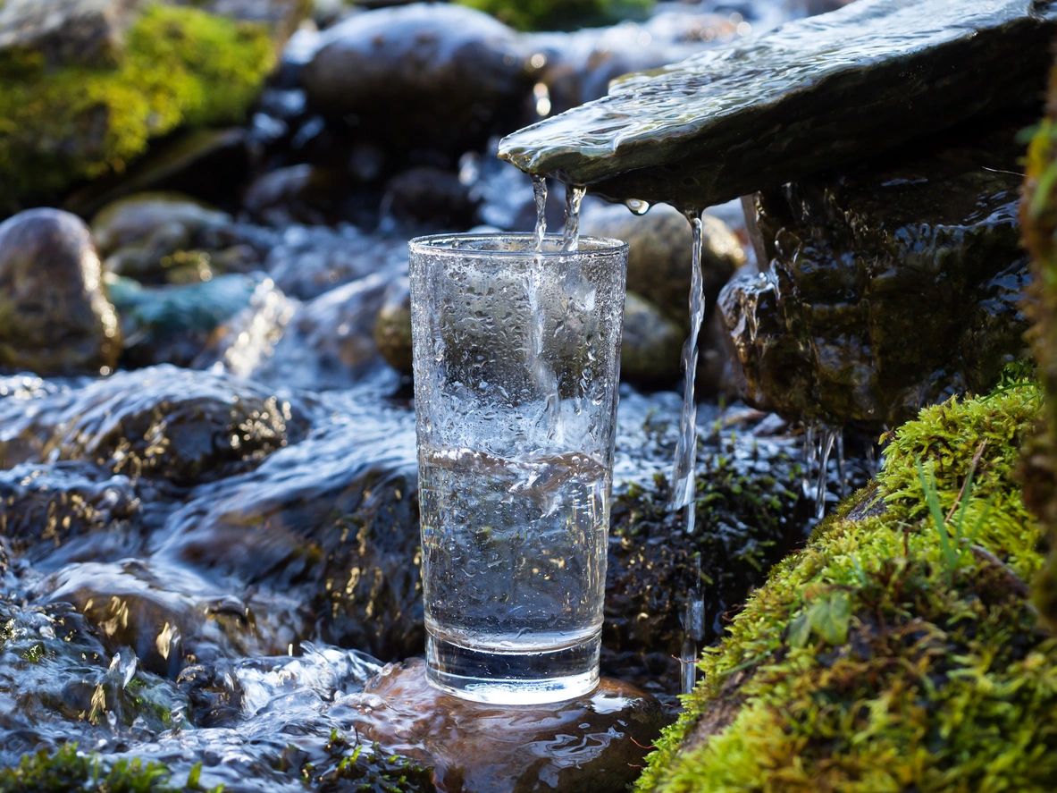 A stream filling a glass of water. Water quality may be headed for a rise as scientists work to develop new technology that uses bacteria to detect harmful heavy metals in water.
