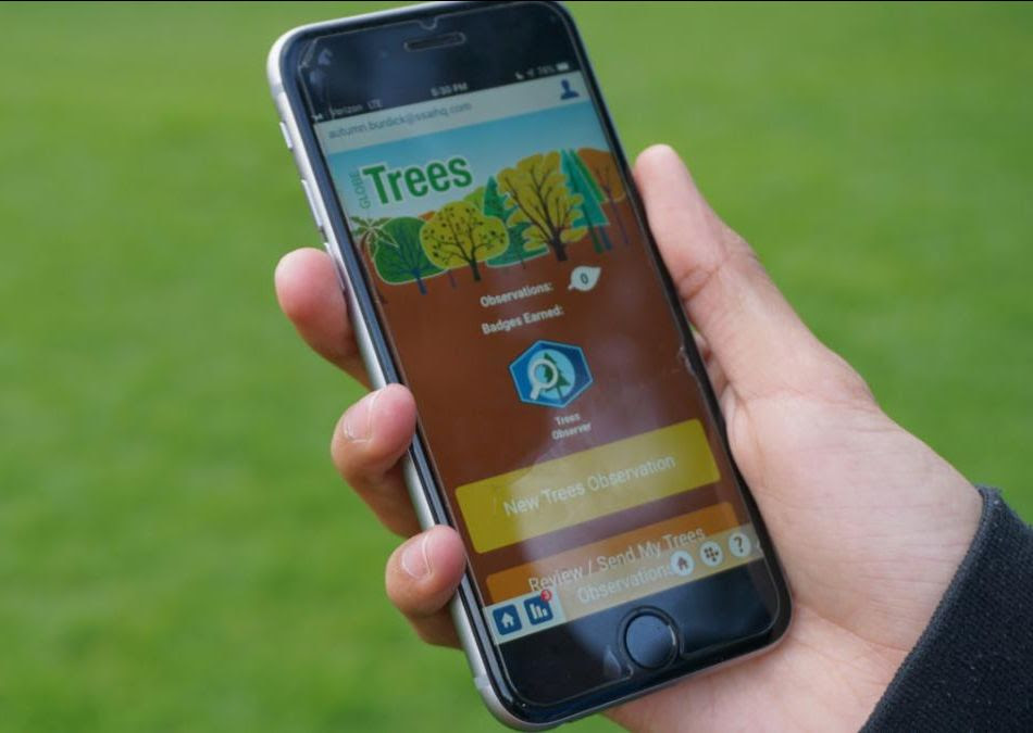 Hand holding a smart phone with the Globe Observer: Trees app pulled up.