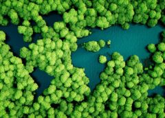 A reimagined world map where the continents are bodies of water and the oceans are instead populated by bright green trees