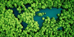 A reimagined world map where the continents are bodies of water and the oceans are instead populated by bright green trees