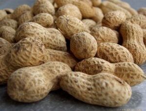 Peanut Allergy Protection