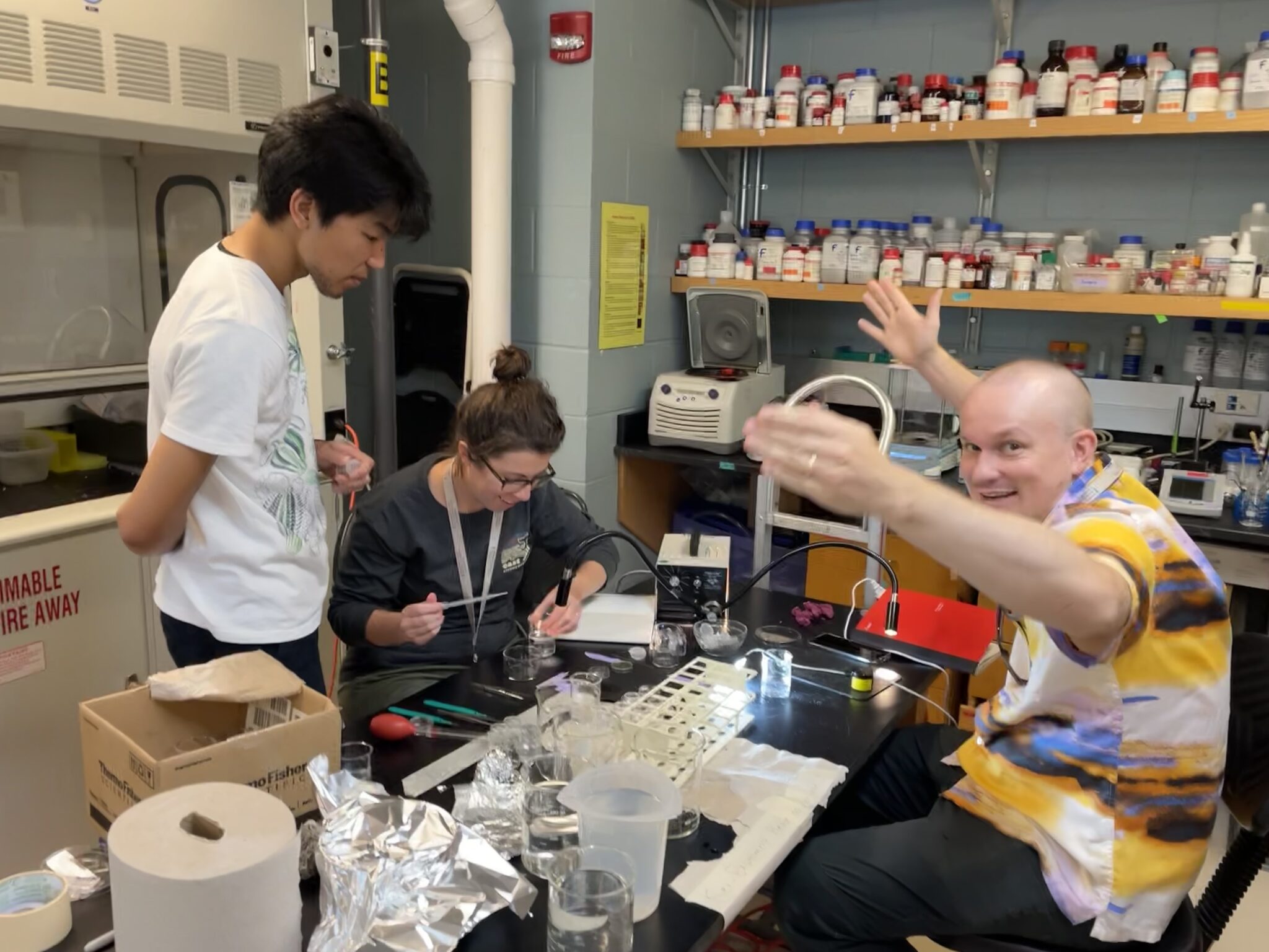 Three researchers from the study are gathered at a lab table to observe fused comb jellies.