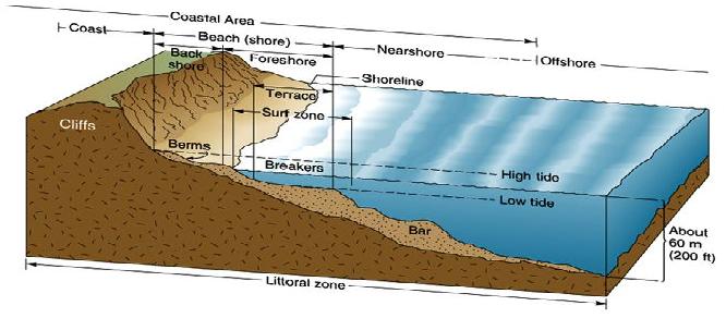 graph of a shoreline labeling brown cliffs descending down to a beach and then into blue water, with terms coastal area, coast, beach (shore), nearshore, offshore, backshore, foreshore, shoreline, terrace, surf zone, berms, breakers, high tide, low tide, bar, and deepest water depth of 60 meters (200 feet). The entire area is labeled Littoral zone.
