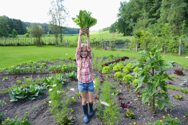 photosynthesis that is efficient means more food, shown by a girl holding up lettuce in a garden